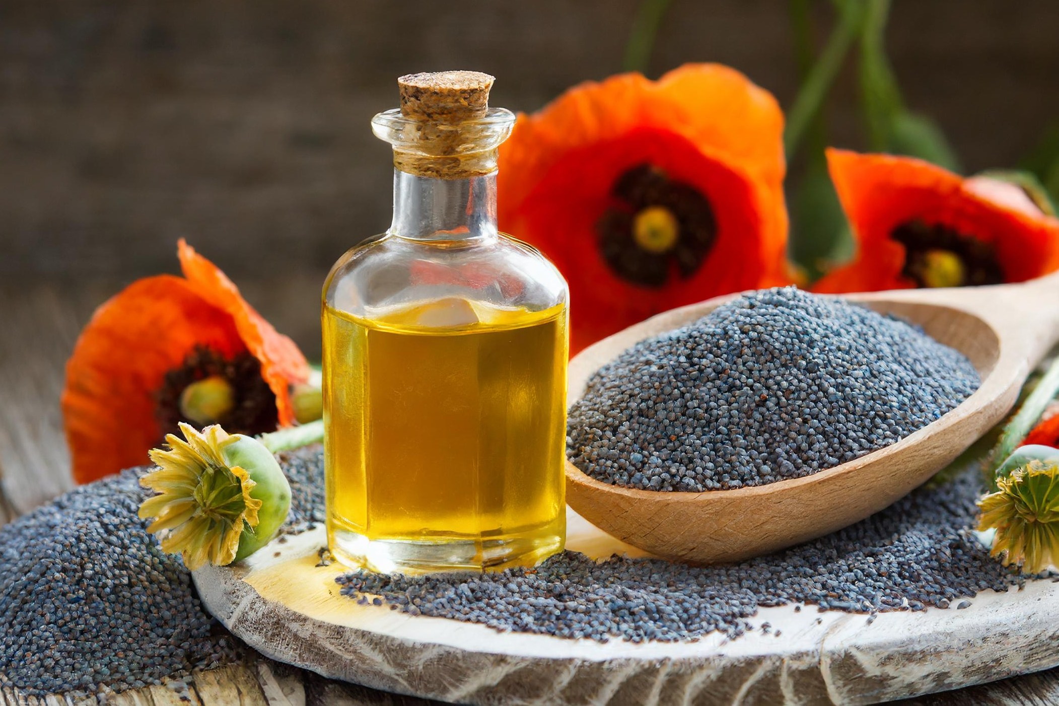 Mákolaj vizsgálatok